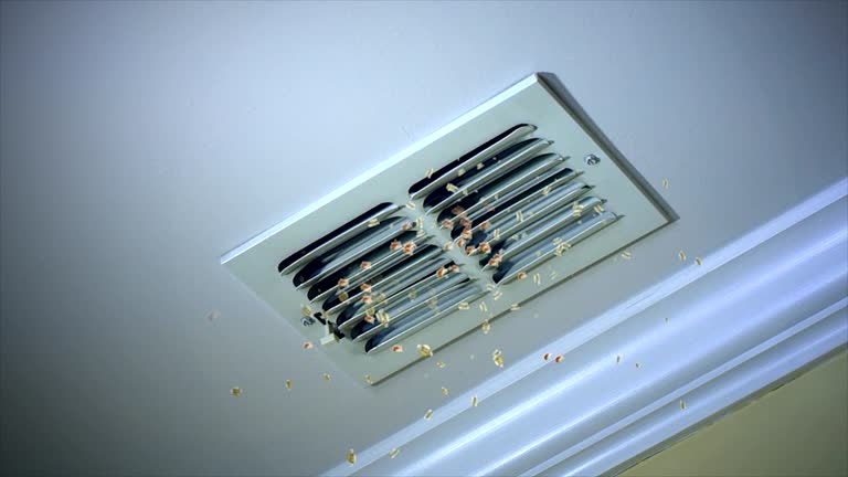 Best HVAC Duct Inspection Services  in Jonesboro, IN